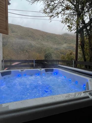 Makrakomi Ski Chalet | Forest view Aggeliki