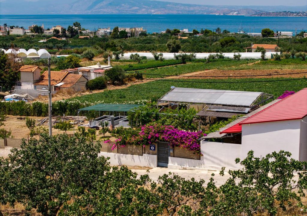 Salamis House | Garden Room with Private Patio Salamis