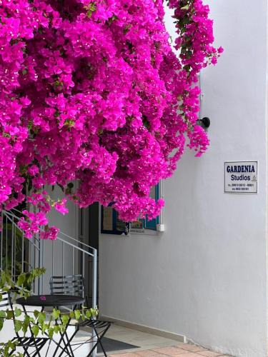 Nidri House | Gardenia studios