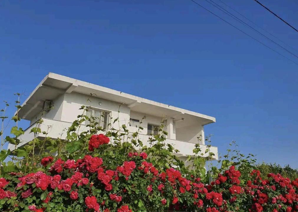 Rade House | Green Villa