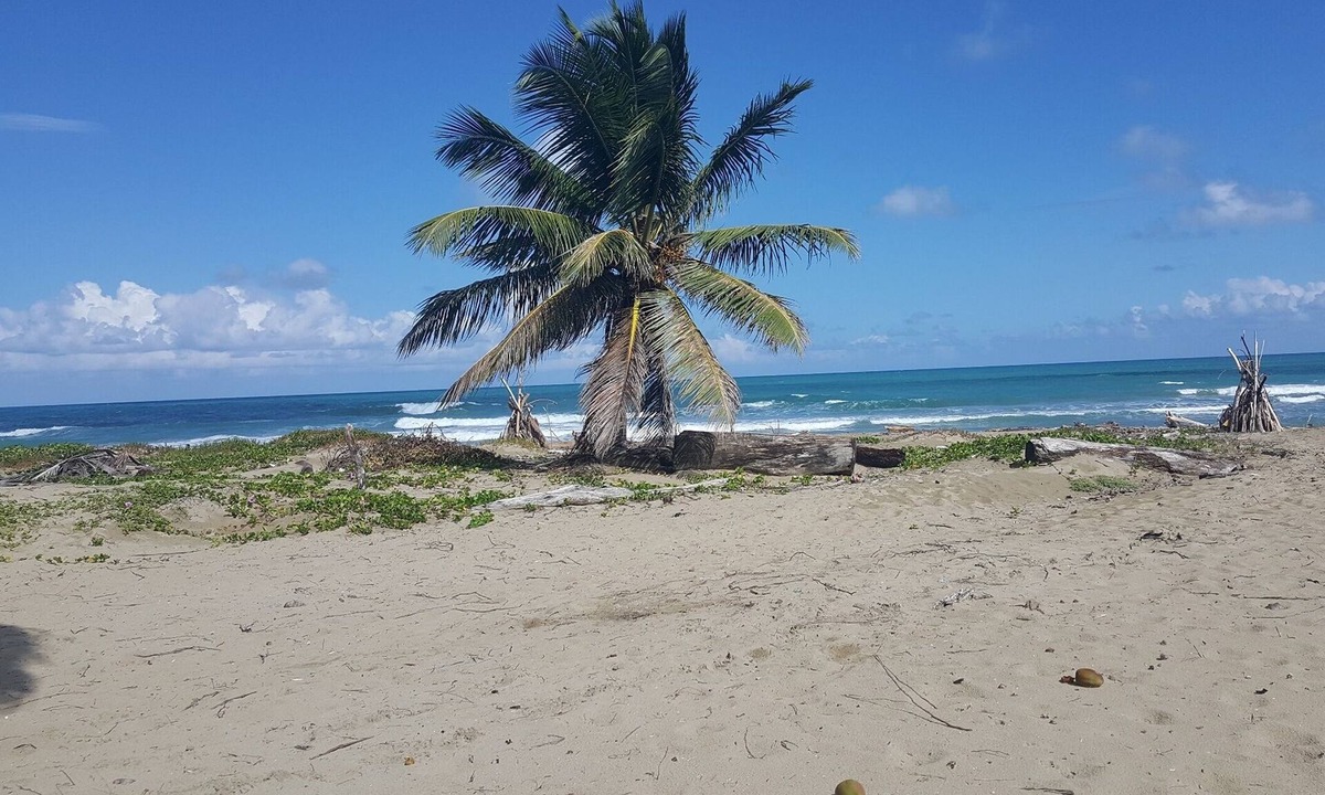 Cabarete Apartment | Ground floor B&B room/bathroom on the beach, breakfast included!
