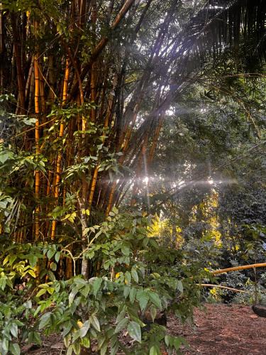 Atuona House | Hiariki Lodge