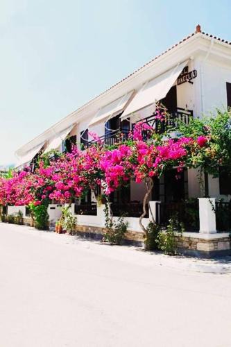 Ireon Hotel | Hotel Angeliki