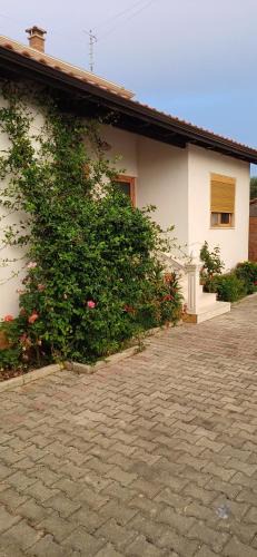 Radhime Hotel | Hotel Lepenica