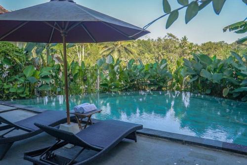Kedewatan Villa | J4 Villa Ubud