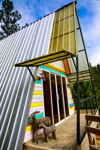 San Jose de las Matas Ski Chalet | Junglavida