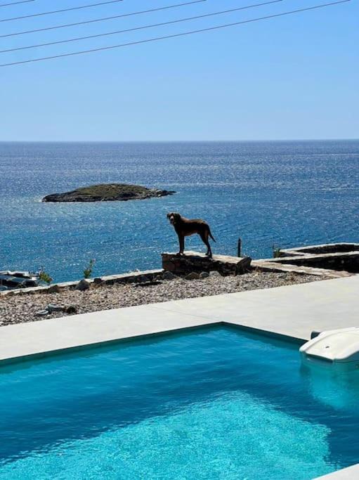 Kithnos Villa | Kythnos beachfront villa with swimming pool