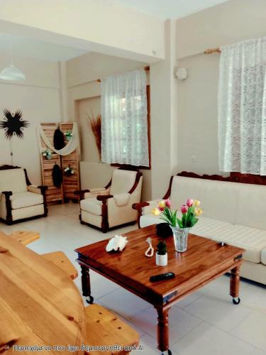 Leptokaria House | La maison de Litsa