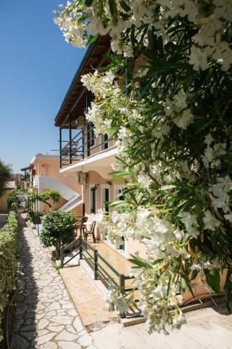 Ipsos Apartment | Lora Apartments & Studios with Balcony in Ipsos Corfu