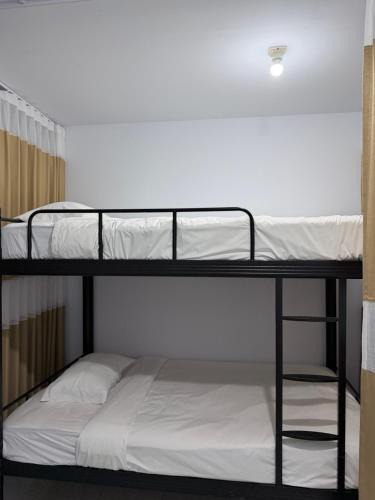 Lovina Hostel | Lovina Arena Dormitory