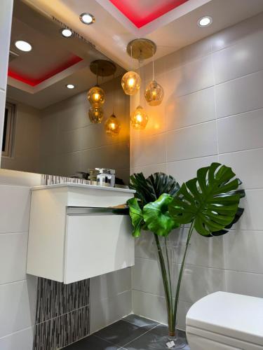 Renacimiento Apartment | Luxury Duplex Penthouse Santo Domingo