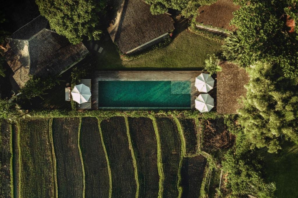 Umalas Hotel | Magia de Uma, a Member of Design Hotels