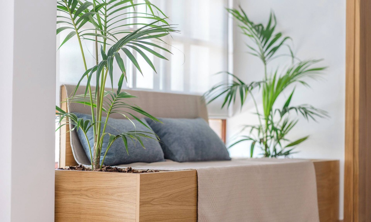 Palaiochora Apartment | Manos Studios