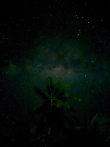 Maupiti Other | Maupiti Bambou Camping