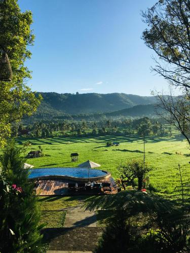 Munduk Hotel | MAYURA BALI VILLA