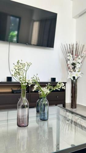 Downtown Santo Domingo Apartment | Moderno y acogedor apartamento
