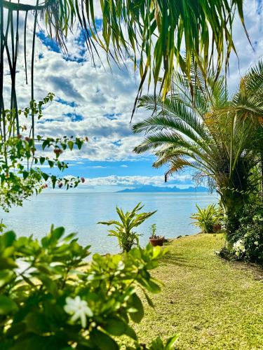 Paea House | O'coco Bungalow- Breathtaking waterfront views, endless memories