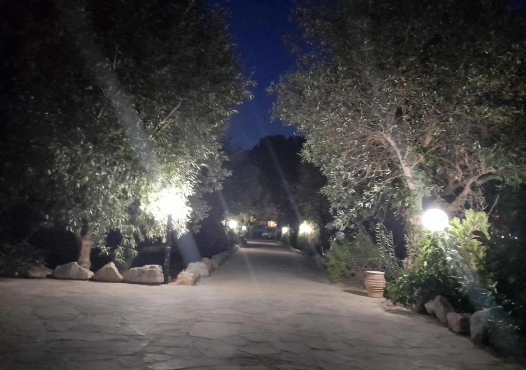 Salamis House | Oasi