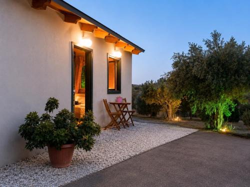 Metochi House | Olive Grove