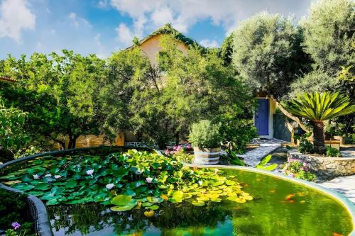 Kantanos-Selino Apartment | Olive tree Cottages