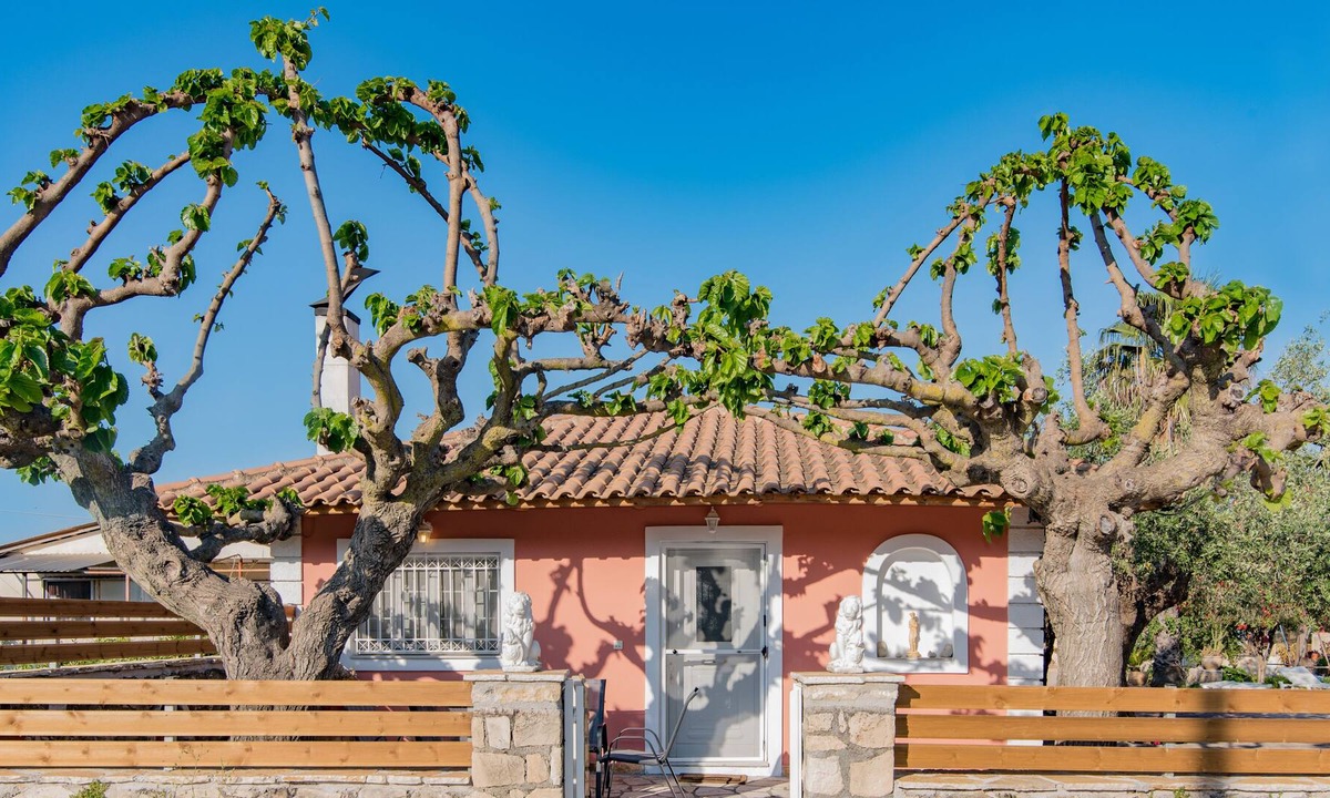 Pantokratoras House | Olive Tree House …..