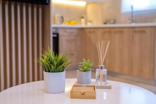 Zipari Apartment | Olivo Home
