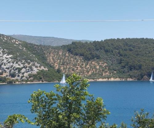 Mytilene Apartment | Pansofia