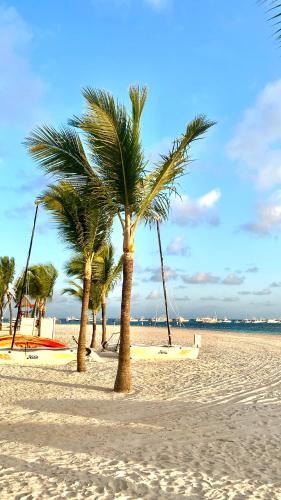El Cortecito Apartment | paradise close to the beach pool free parking,wifi- punta cana