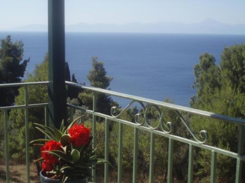Stafylos Apartment | Pelagos