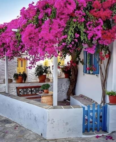 Artemonas House | Penny 's House