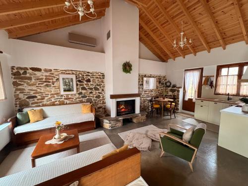 Avas Ski Chalet | Plismoní
