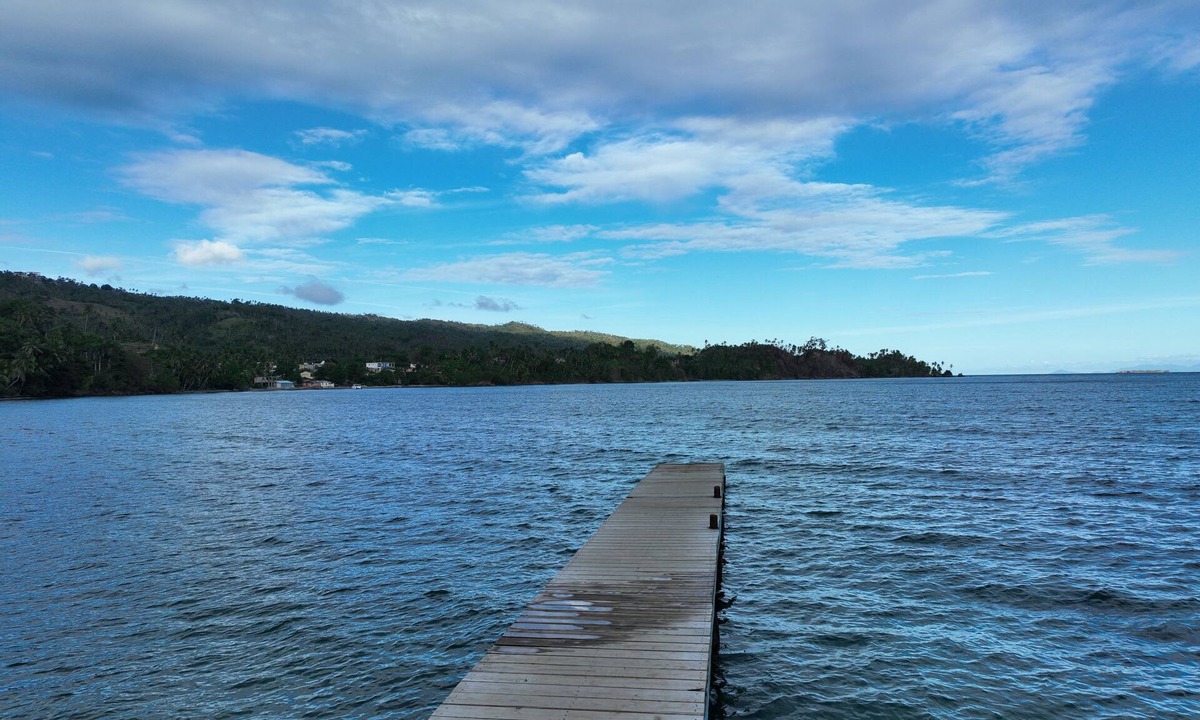 Samana Resort | Private Beach Resort. Pet friendly. Amazing excursions. #Whale watching.nn