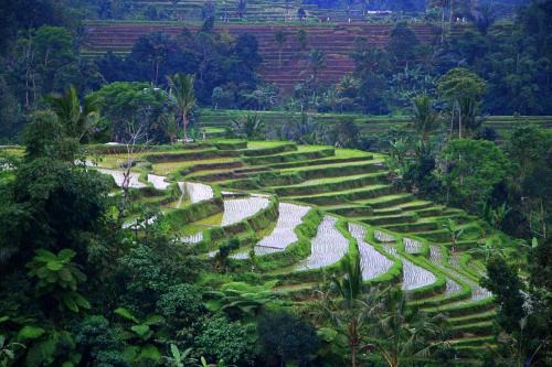 Denpasar Timur Villa | Private Poo A SUPPRIMER