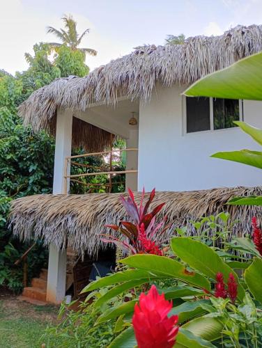 Las Galeras Apartment | Quédate Aquí