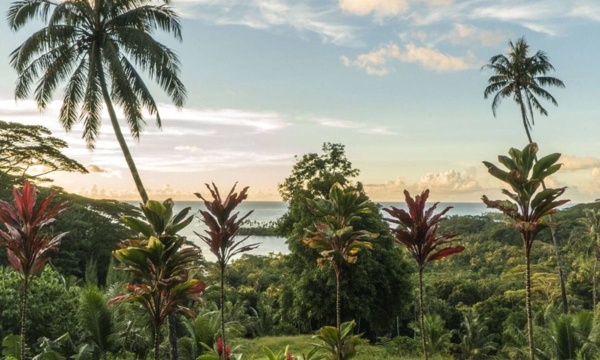 Teahupoo Apartment | RAIATEA- Fare Cascades Ohana