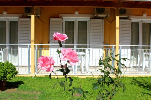 Kavos Apartment | Rantos Apartments