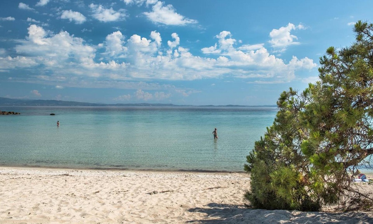 Vourvourou Hotel | Rema Hotel
