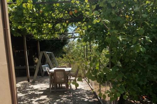 Platana House | Riverbird House