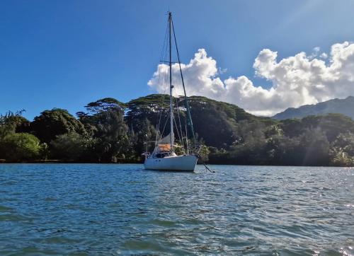 Taravao Boat Rental | Séjour aventure insolite sur un voilier