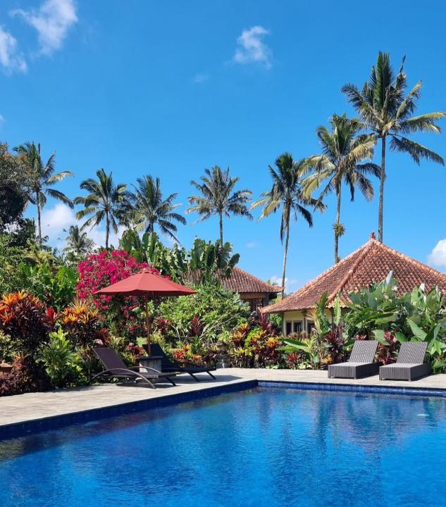 Pupuan Resort | Sava Eco Retreat