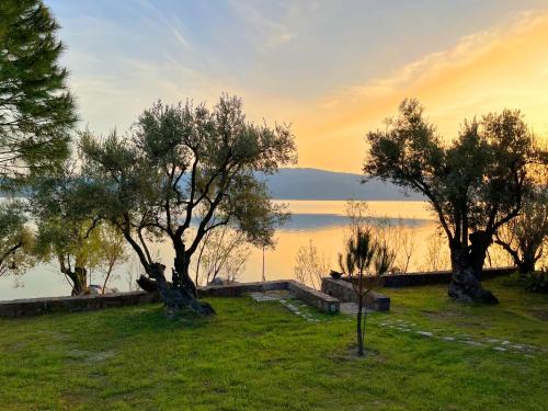Mytilene House | Seafront Traditional Stone House in Sunset Olive Grove - B