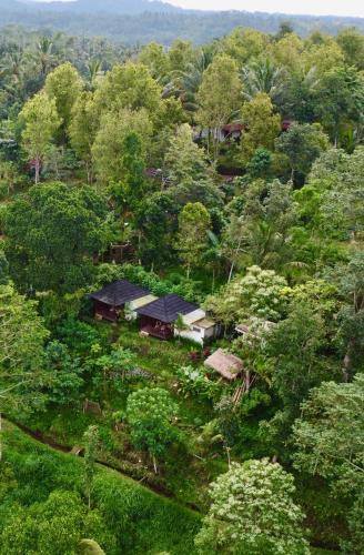 Tetebatu Hotel | Selatan Rinjani