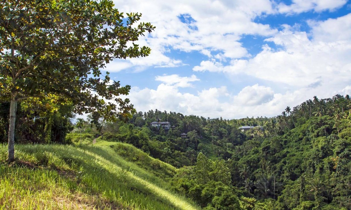 Kelusa Cabin | Serene accommodation in Ubud Riverside, Feel the Ambience