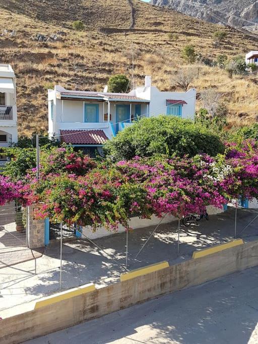 Kalymnos Apartment | Sevasti Studios Eborios Kalymnos