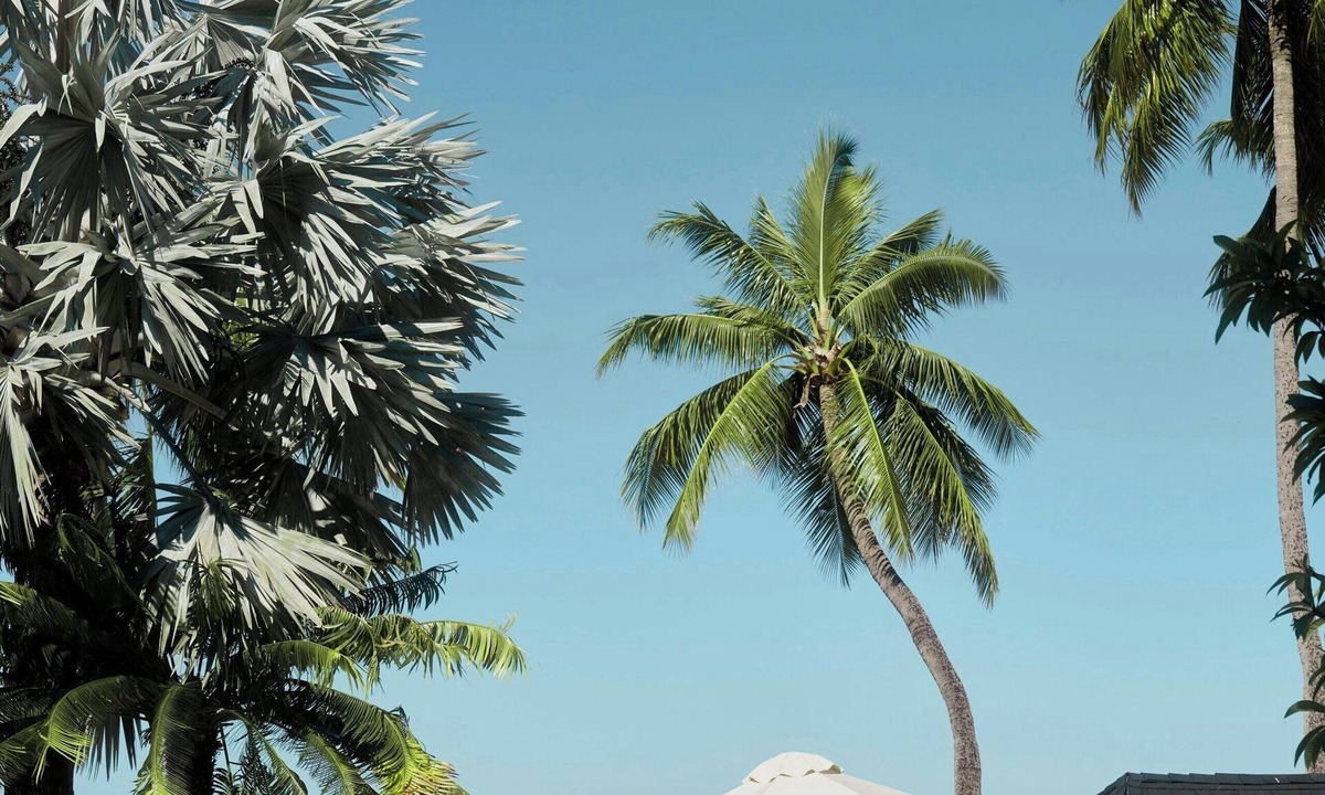 Nadi Resort | Sheraton Fiji Golf & Beach Resort