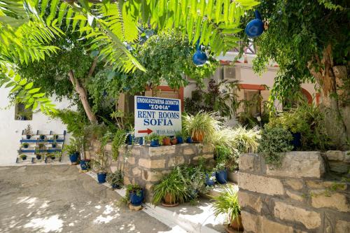 Pitsidia Hostel | Sofia rooms