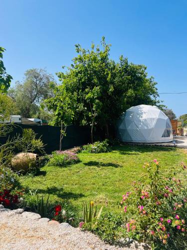 Sougia Other | Sougia Dome