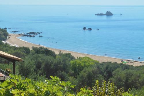 Parelia Apartment | Studio Apartments with swimming pool and sea view - Pelekas Beach
