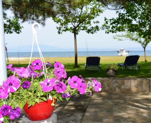 Skala Rachoniou Apartment | Studios Avra