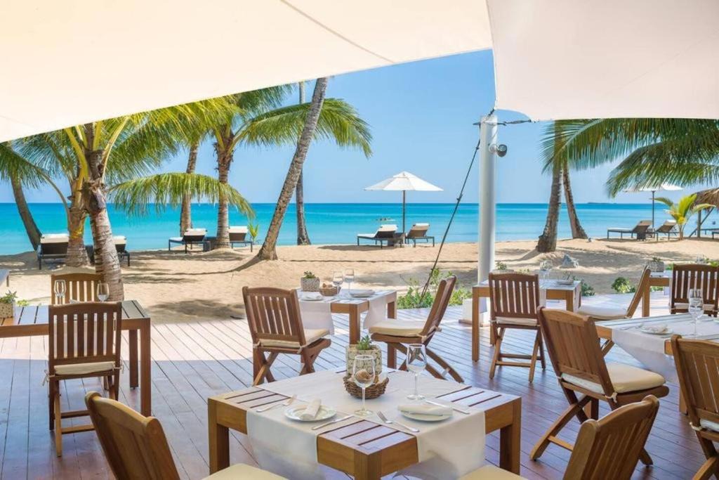 Las Terrenas Apartment | Sublimeluxcondo Terrenas Jaccuzibeachfront